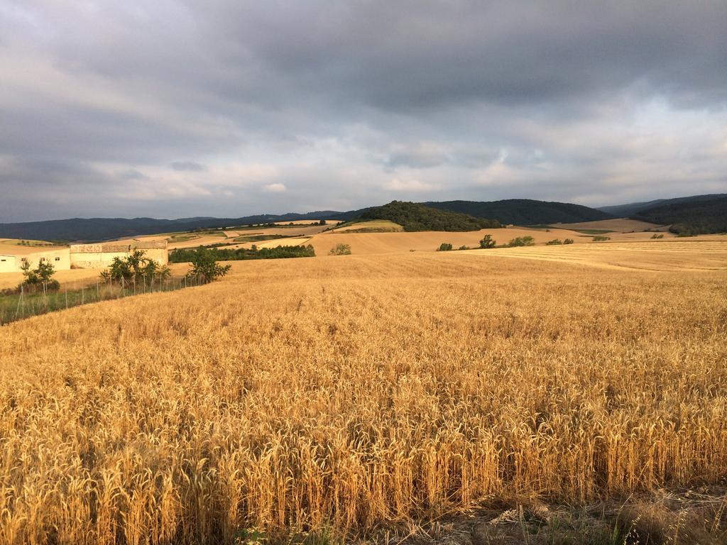 Mihotelito Viloria de Rioja Bagian luar foto